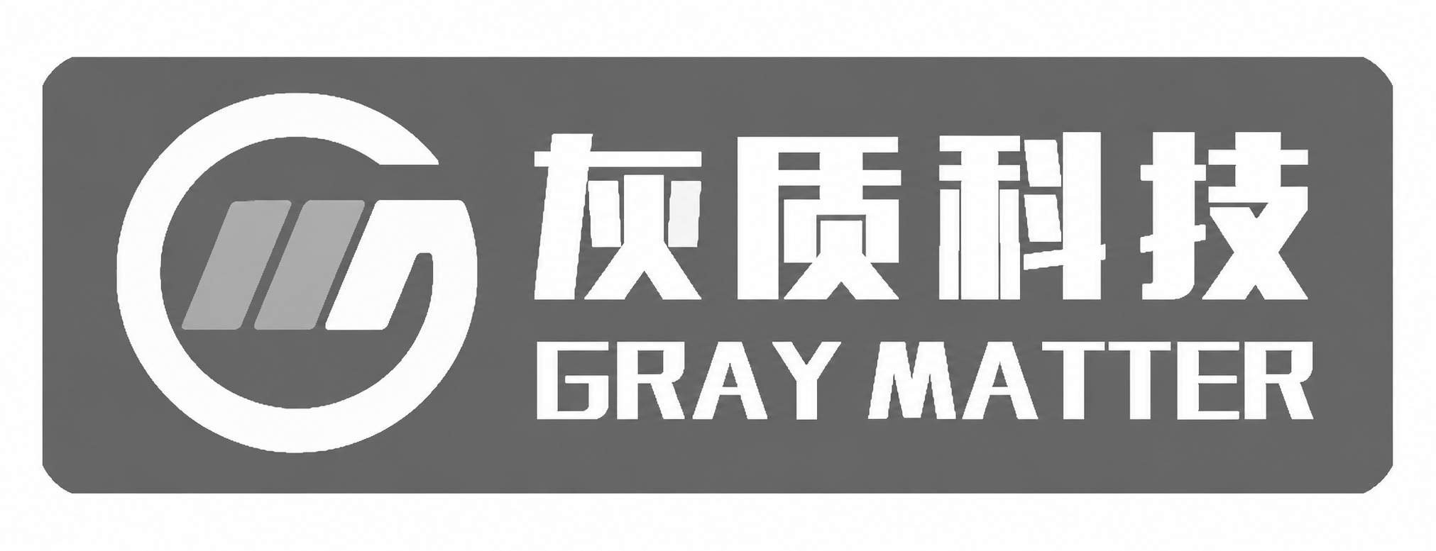 GRAY MATTER